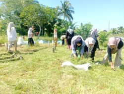 Polri dan Mahasiswa UNIVA Bersihkan Makam Kerajaan Bedagai, Napas Sejarah Dihidupkan Kembali