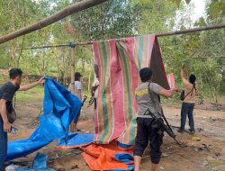 Polisi Bakar Arena Judi Sabung Ayam di Sampang