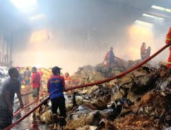 Gudang Tembakau dan Rokok Terbakar Hebat di Pamekasan, Inafis Diterjunkan