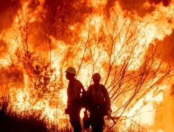 Tersangka Kebakaran Maut Los Angeles Ditangkap Terancam 20 Tahun Penjara